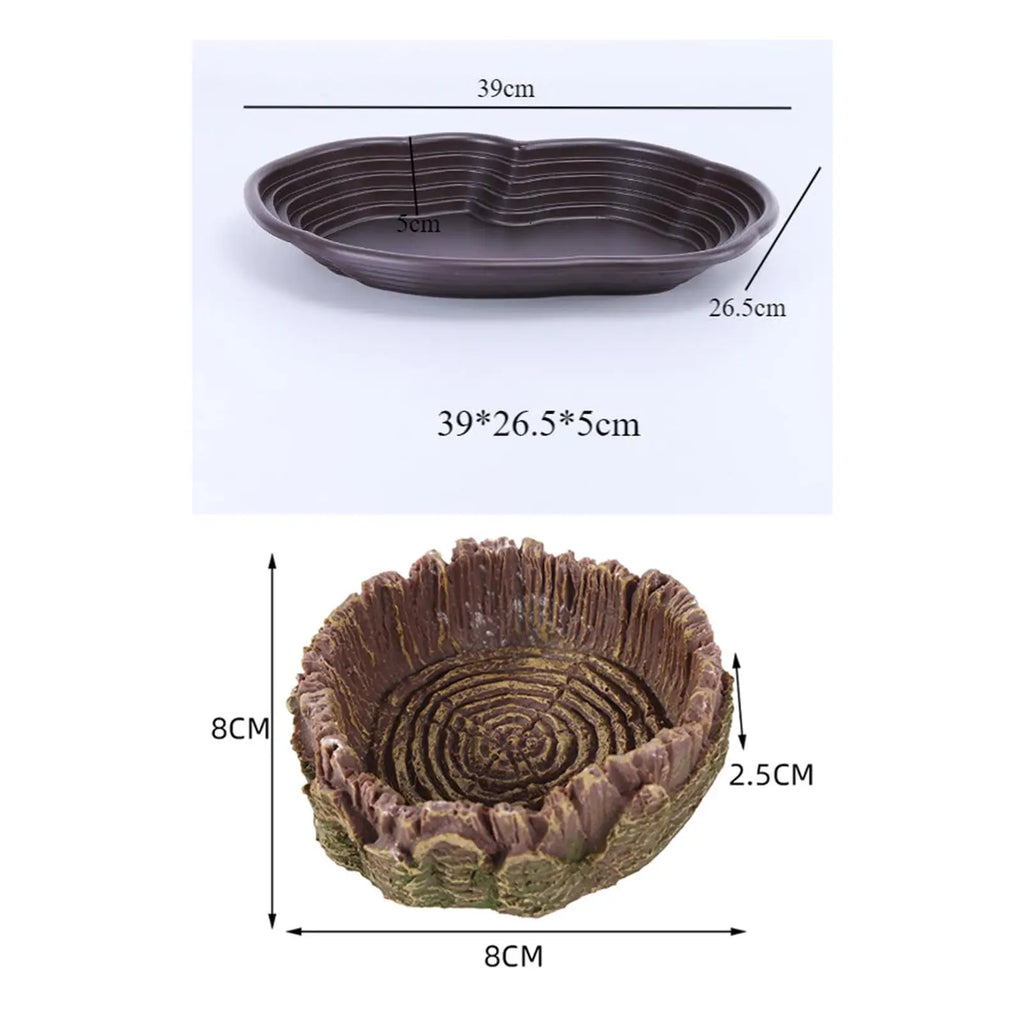 Reptile Bathing Pool & Water Dish Set — Ramp Design for Turtles & Tortoises