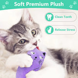 Catnip Plush Kicker Toy Set (Multipack)