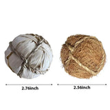 Small Pet Chew Toy Set — Apple Branch & Grass for Dental Health