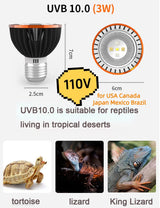 3W UVA/UVB LED Reptile Basking Bulb — Dual-Cooling E27 Sunlight Lamp