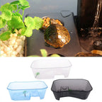 Turtle Tank with Coconut Tree Décor — 5-Zone Terrarium for Turtles & Reptiles