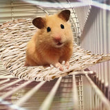 Natural Straw Chew Mat — Woven Hay Bedding for Small Pets