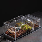 Clear Acrylic Reptile Breeding Box — Ventilated Habitat, Multiple Sizes