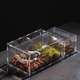 Clear Acrylic Reptile Breeding Box — Ventilated Habitat, Multiple Sizes