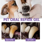 Dog Oral Repair Gel — Tartar Stain Remover & Breath Freshener, 3ml x 2
