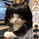 Spoof Wig for Dogs & Cats (Pet Christmas Costume Accessory)