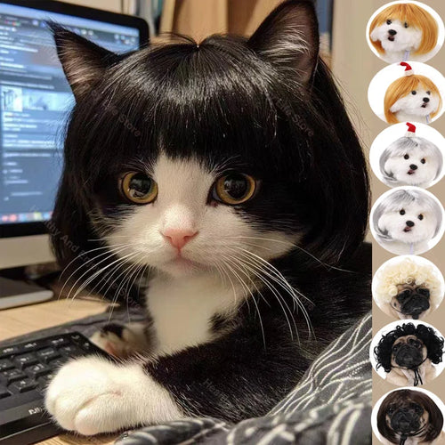 Spoof Wig for Dogs & Cats (Pet Christmas Costume Accessory)