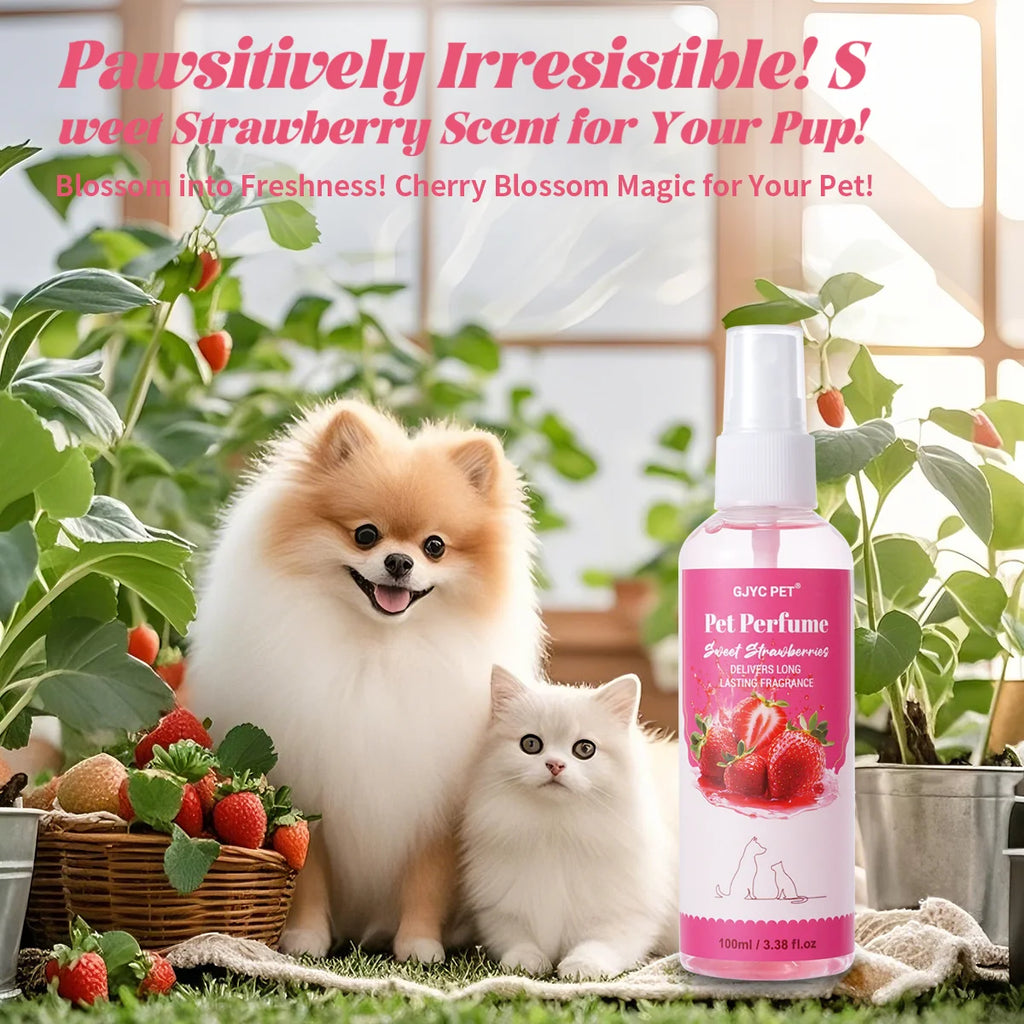 Strawberry Pet Perfume Spray — Alcohol-Free, Long-Lasting Fragrance, 100ml