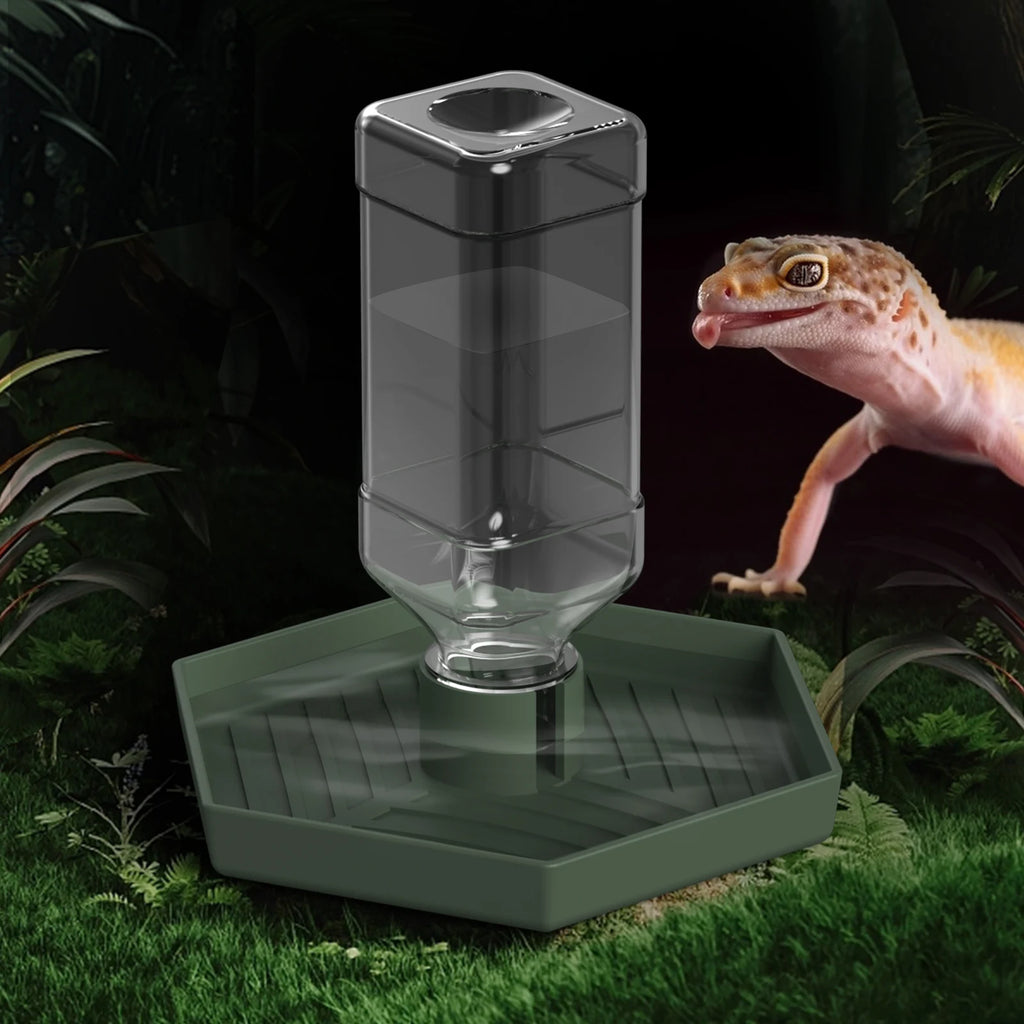 Reptile Water Dish — Sturdy Plastic Bowl for Bearded Dragons & Tortoises