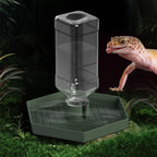 Reptile Water Dish — Sturdy Plastic Bowl for Bearded Dragons & Tortoises
