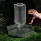Reptile Water Dish — Sturdy Plastic Bowl for Bearded Dragons & Tortoises