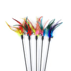 Gradient Feather Cat Teaser Wand — Colorful Interactive Rod Stick (1–50 Pack)