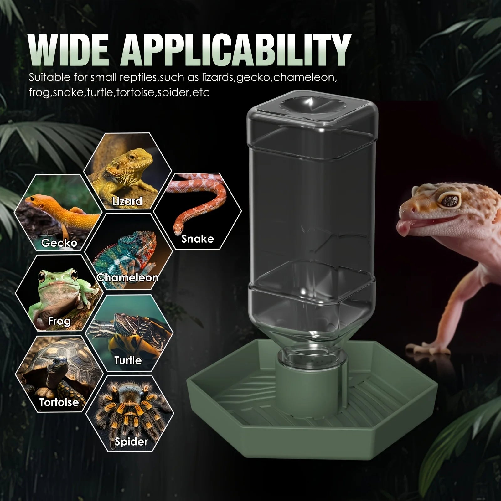 Automatic Feeder & Waterer for Small Reptiles