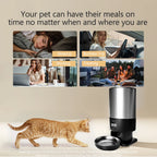 Smart Automatic Pet Feeder (Timed, Programmable, Dog & Cat)
