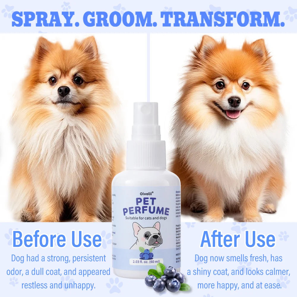 Blueberry Pet Deodorizing Spray — Natural, Long-Lasting Freshness for Dogs & Cats