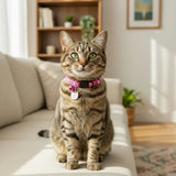 Quick-Release Safety Cat Collar — Cat Face Pendant & Bell