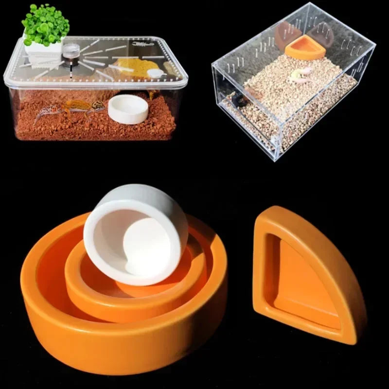 Ceramic Reptile Feeder Bowl — Decorative Food & Water Dish