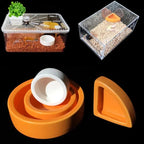 Ceramic Reptile Feeder Bowl — Decorative Food & Water Dish