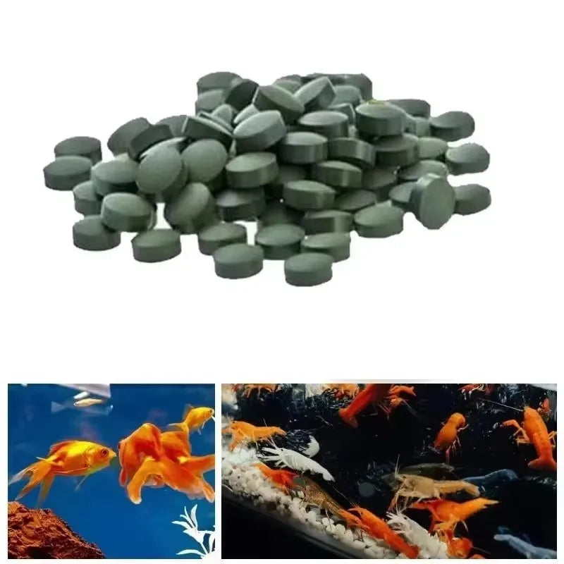 Premium Spirulina Tablets for Fish & Shrimp 100–3000 Pack