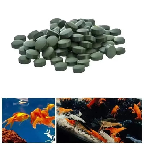 Premium Spirulina Tablets for Fish & Shrimp 100–3000 Pack