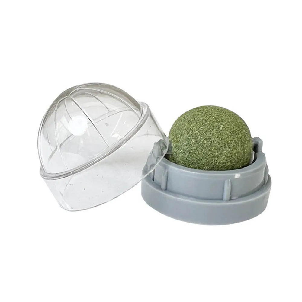 Catnip & Cat Grass Wall-Mount Lick Ball Toy — Stick-On Scratcher & Digestive Treat