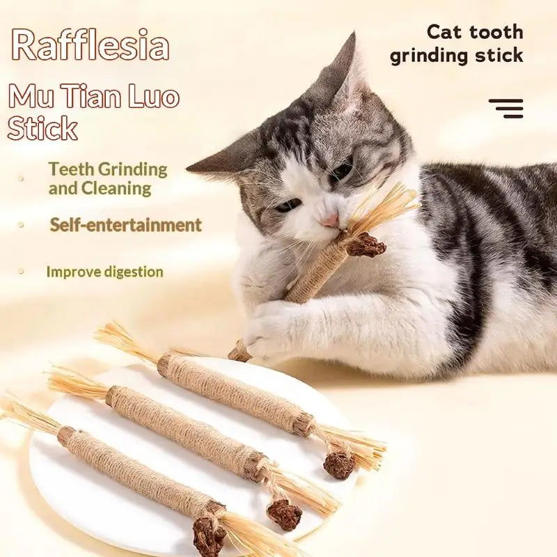 Natural Wood Knotweed Cat Teething Sticks — Sisal Rope & Raffia