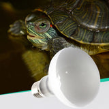 UVA+UVB Heating & Calcium Bulb — Waterproof Basking Lamp, 25W-100W, 220V