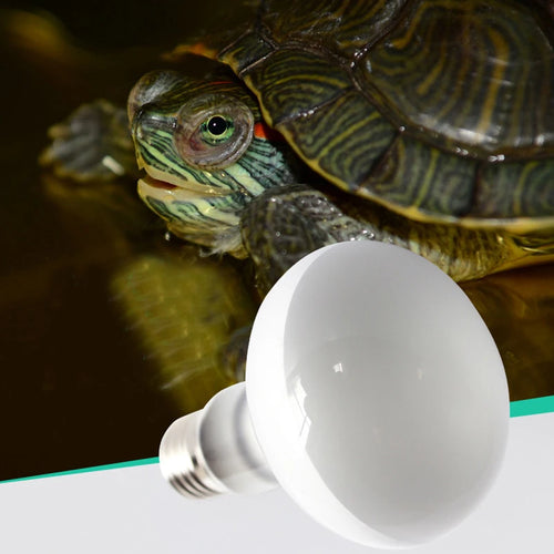 UVA+UVB Heating & Calcium Bulb — Waterproof Basking Lamp, 25W-100W, 220V