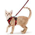 Anti-Escape Kitten Harness & Leash Set — Lightweight Breathable Vest