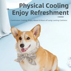 Pet Cooling Ice Scarf 2-Pack (Adjustable, Breathable, Reusable)