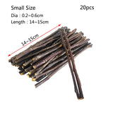 Apple Tree Branch Chew Sticks — Natural Teeth Grinding Sticks for Hamsters & Rabbits