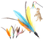Cat Wand Feather Refills (5-Pack)