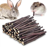 Apple Tree Branch Chew Sticks — Natural Teeth Grinding Sticks for Hamsters & Rabbits