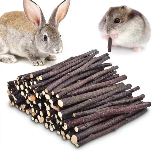 Apple Tree Branch Chew Sticks — Natural Teeth Grinding Sticks for Hamsters & Rabbits
