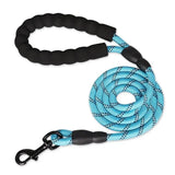 Adjustable Dog Harness & 150cm Leash Set — Reflective Design