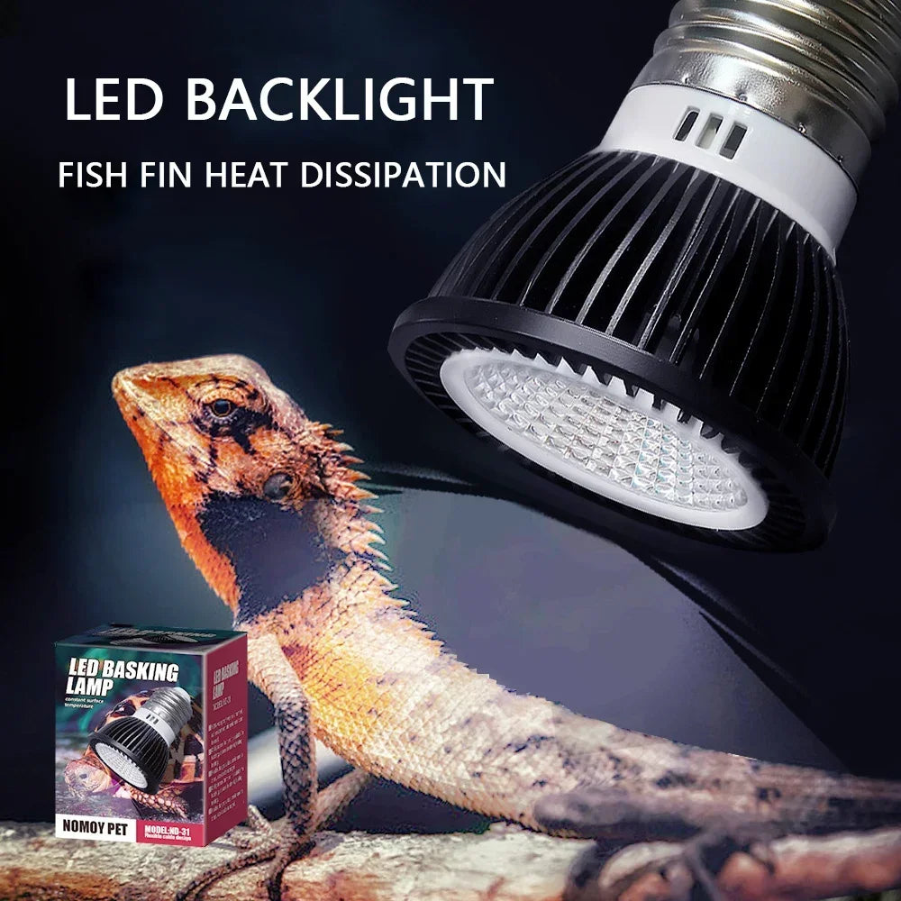 UVB & UVA Reptile Lamp — Energy-Saving Calcium & Sun Bulb for Turtles & Lizards