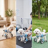 Front Leg Dog Wheelchair Padded Pet Front Leg Wheelchair Mobility Cart Comfortable Long-Lasting for Disabled Dogs