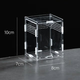 Clear Acrylic Reptile Habitat — Anti-Escape Breeding Box for Chameleons & Spiders