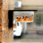 Crested Gecko Feeding Ledge — Space-Saving Suction Cup Food & Water Dish