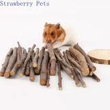 Natural Apple Wood Chew Sticks — Teeth Grinding Sticks for Small Pets