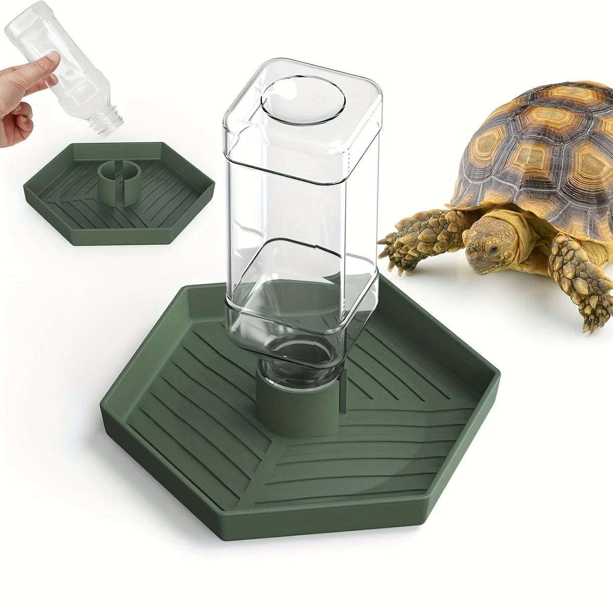 Automatic Feeder & Waterer for Small Reptiles