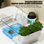 Transparent Turtle Tank with Basking Area — All-in-One Terrarium for Turtles & Crabs
