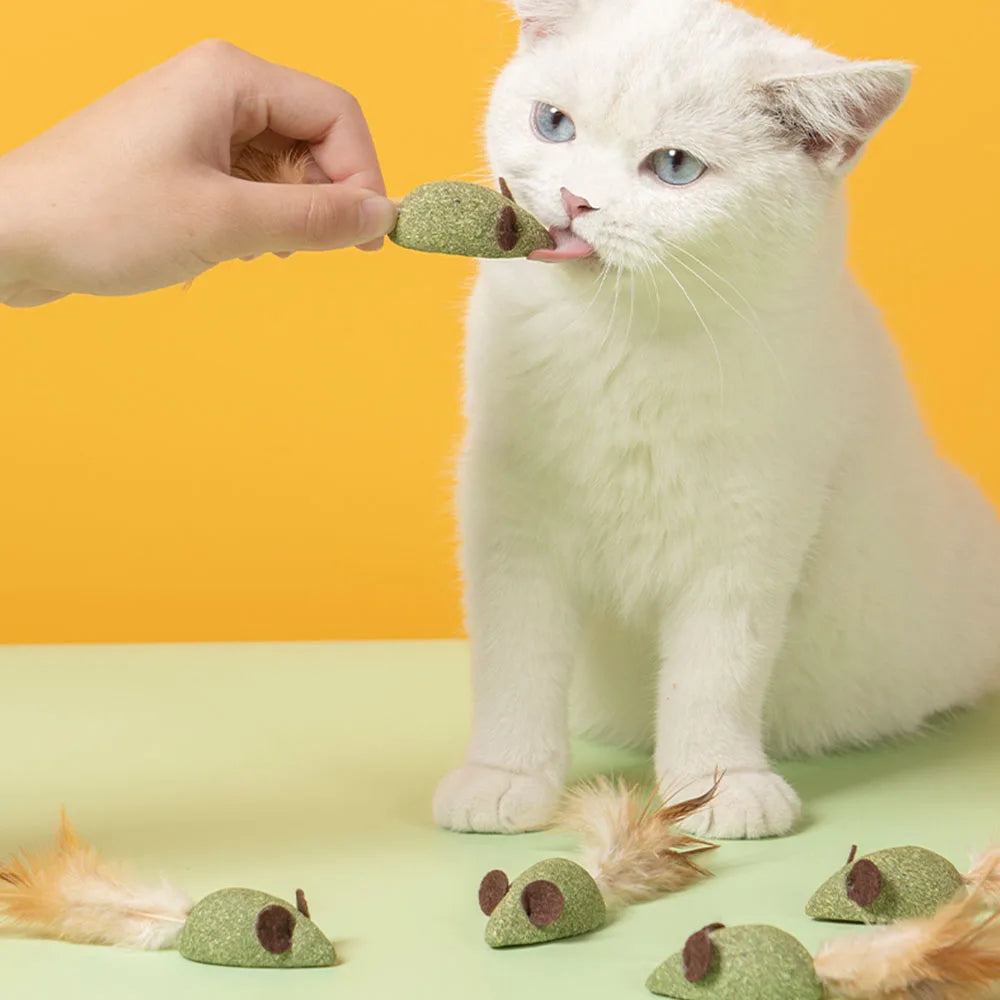 Mint Catnip Feather Ball Cat Toy — Self-Cleaning Teeth Grinding & Dental Play Toy