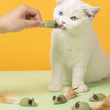 Mint Catnip Feather Ball Cat Toy — Self-Cleaning Teeth Grinding & Dental Play Toy