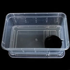 Portable Mini Terrarium Habitat — Transparent Travel Box for Small Reptiles & Insects