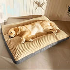 Corduroy Orthopedic Dog Bed for Large Dogs