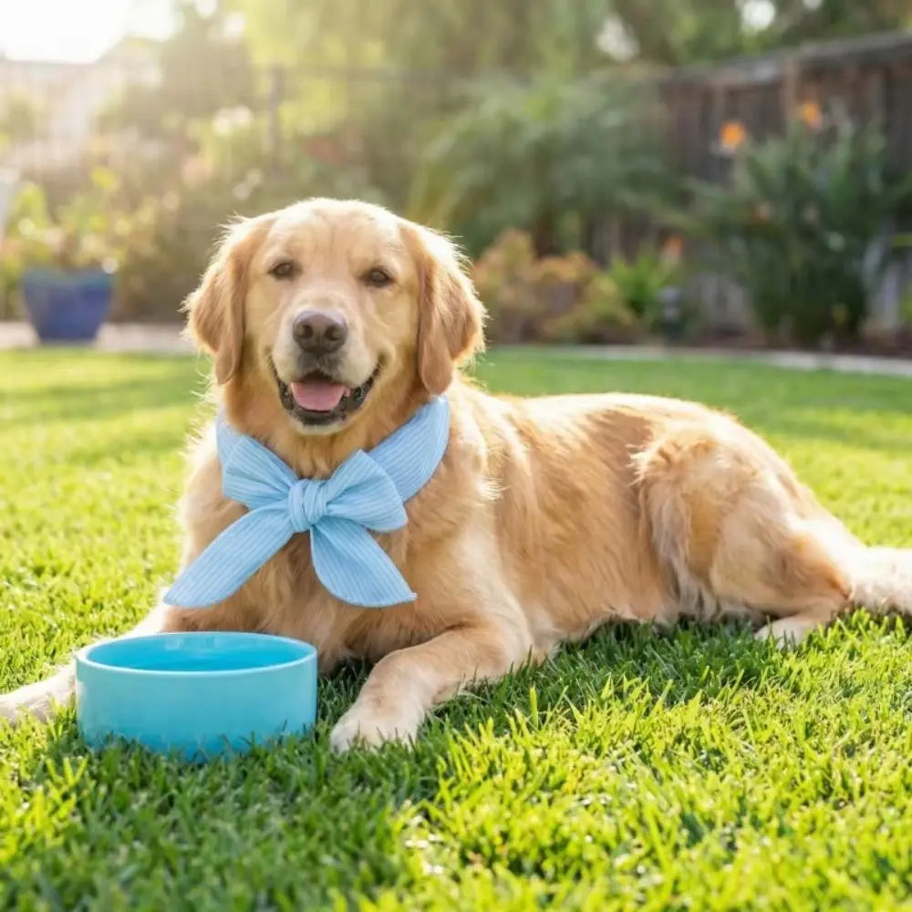 Pet Cooling Ice Scarf 2-Pack (Adjustable, Breathable, Reusable)