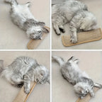 Cat Pillow Game Toy with Scratch Pad — Solo & Interactive Enrichment Set