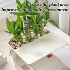 Clear Turtle Tank — Multi-Level Habitat for Basking & Semi-Aquatic Pets