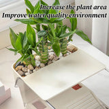 Clear Turtle Tank — Multi-Level Habitat for Basking & Semi-Aquatic Pets